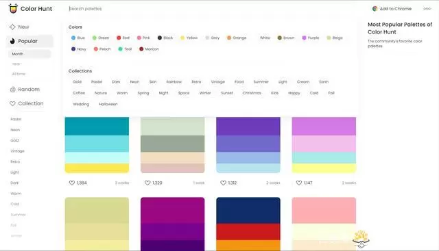 colorhunt