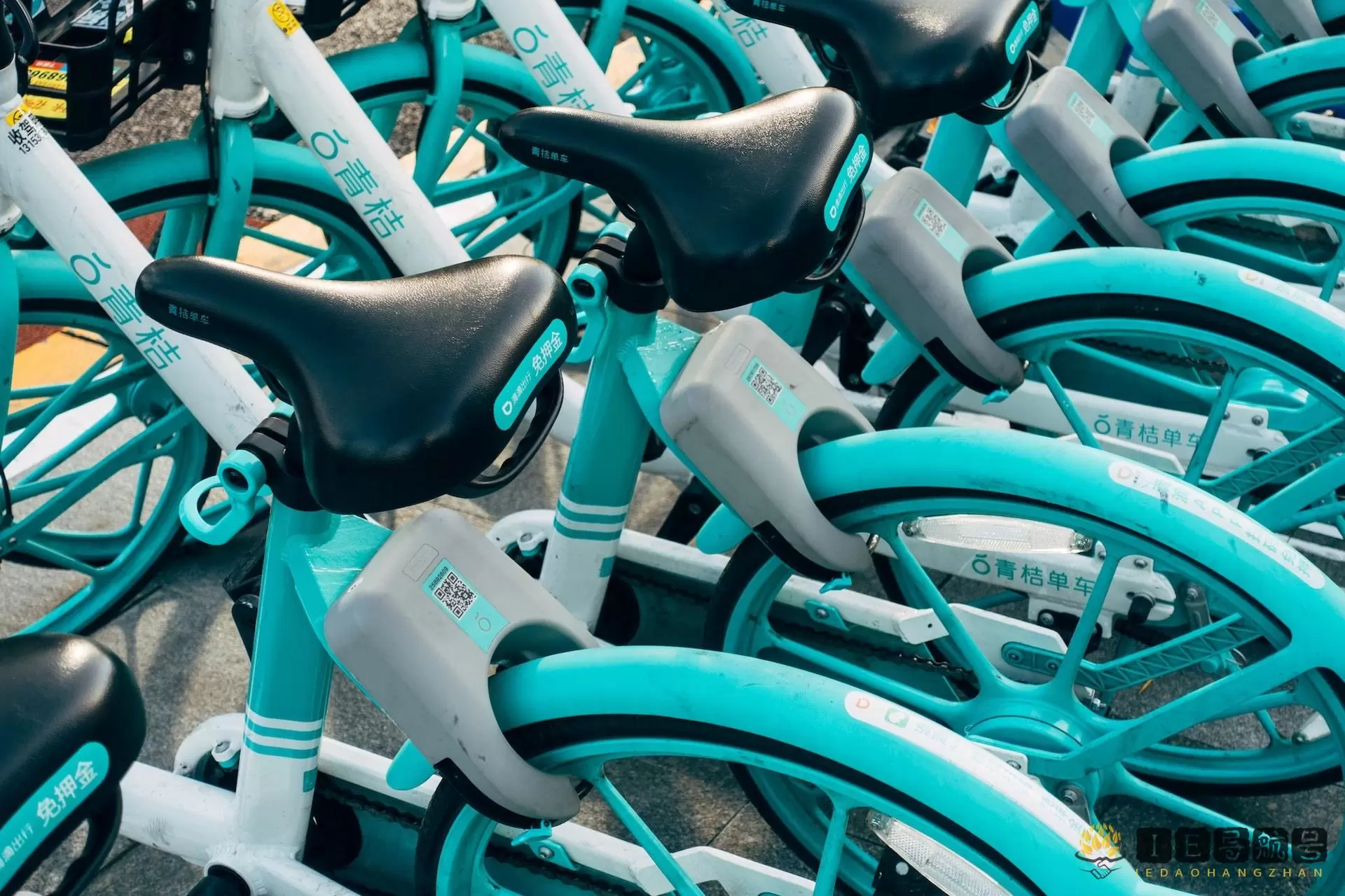 青桔共享单车 Bike sharing