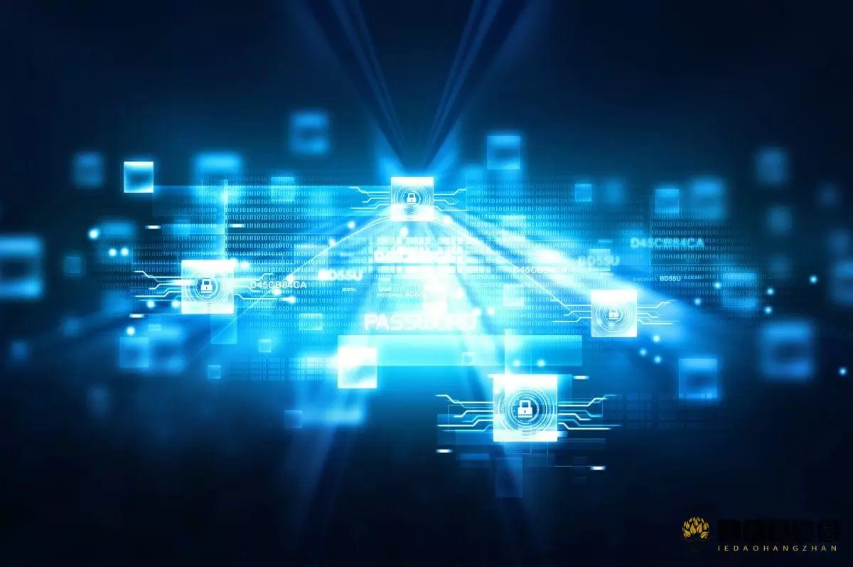 网络 Network