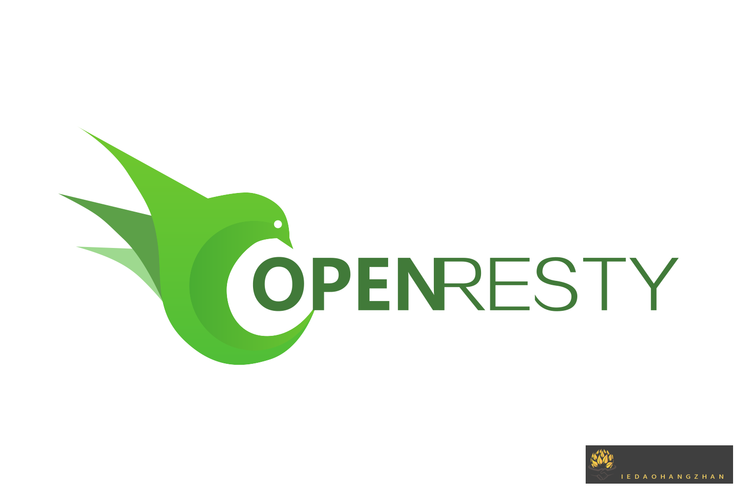 OpenResty