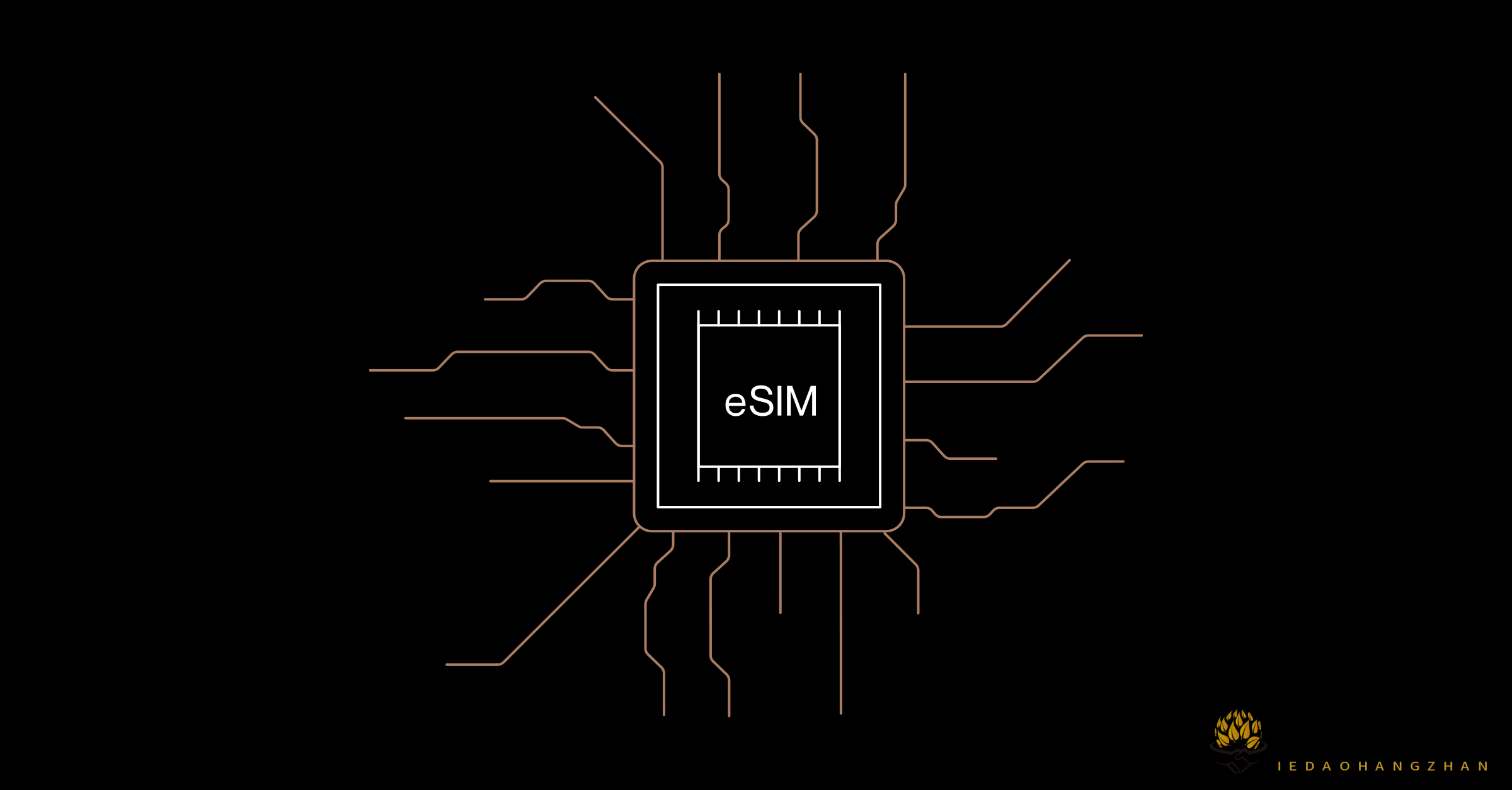 eSIM 卡