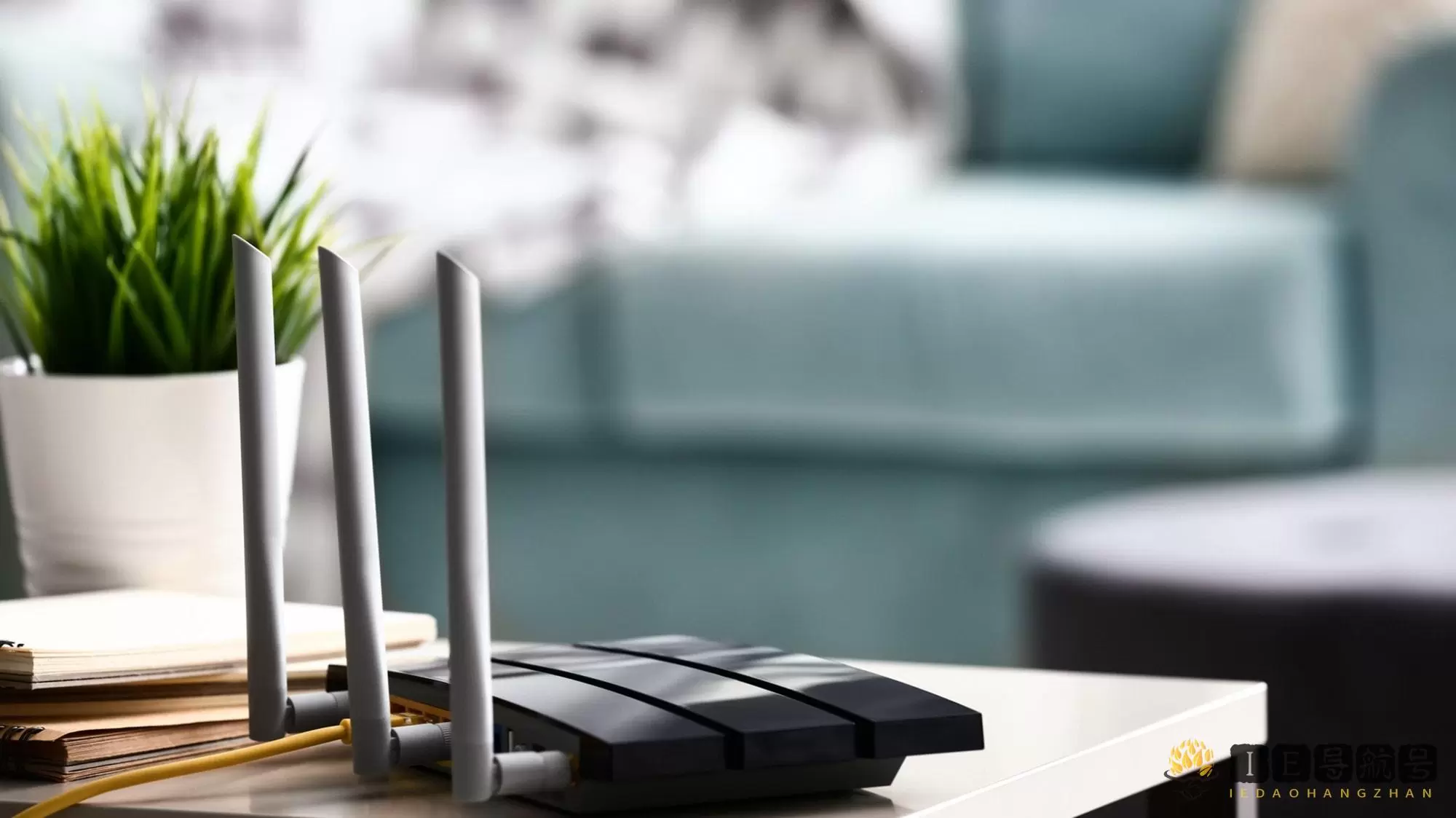 路由器 router