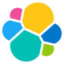 Elasticsearch Platform