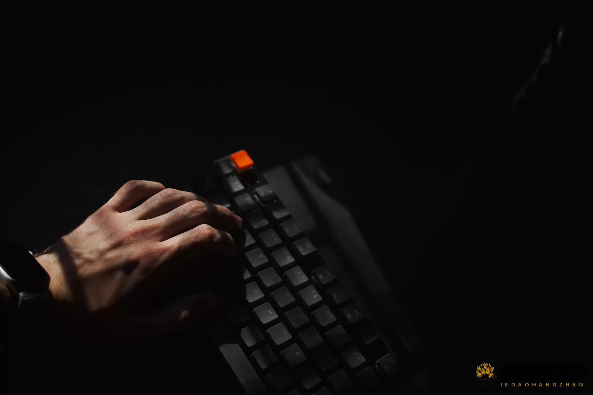 程序员 coder 键盘