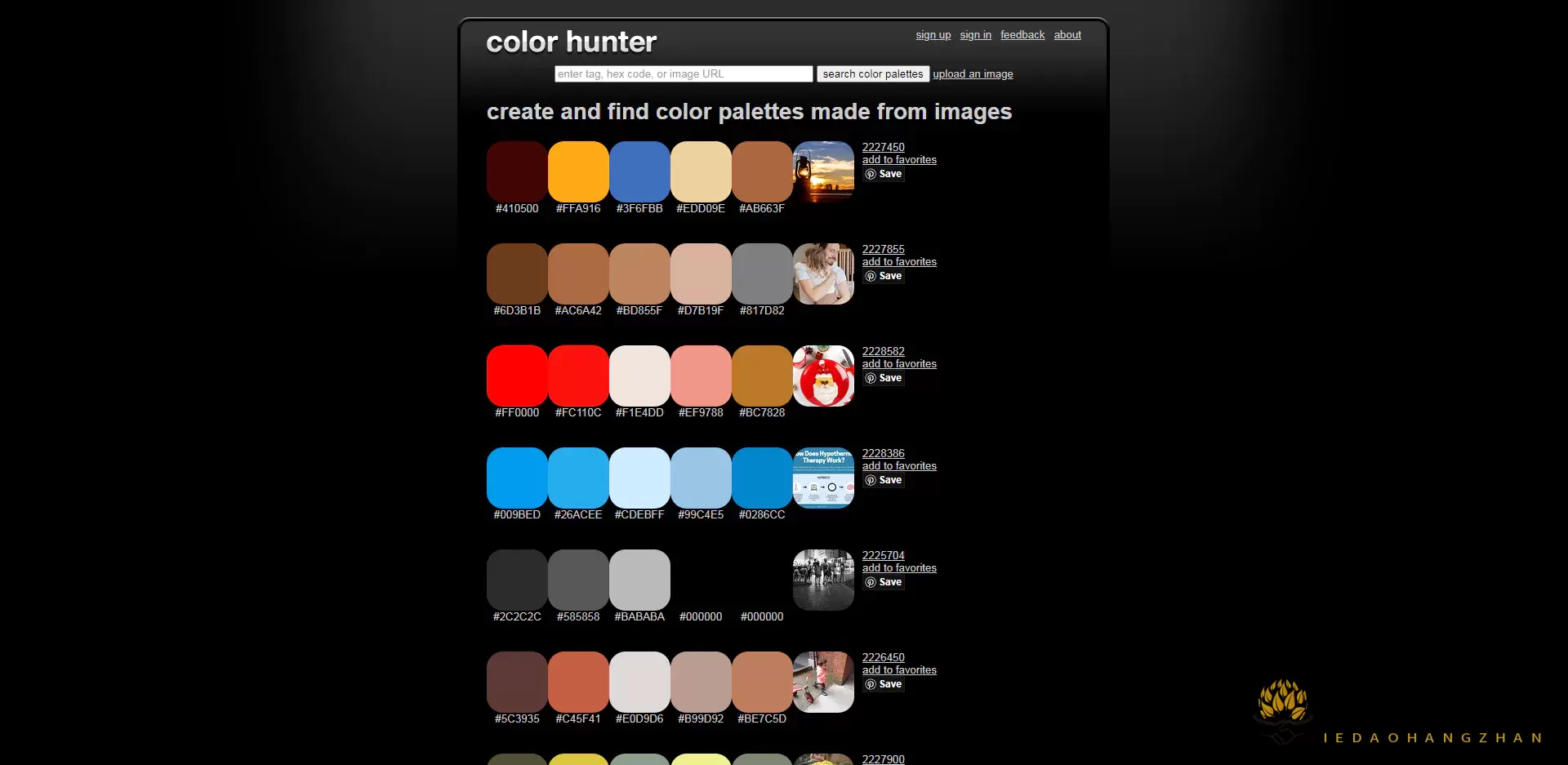 colorhunter