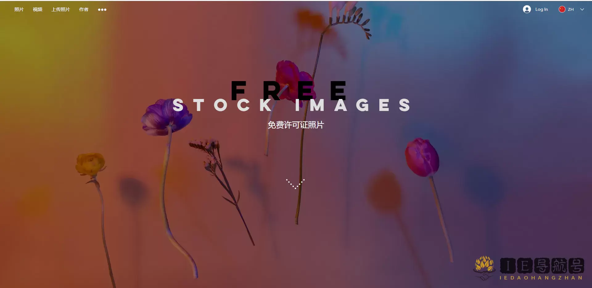 Free Stock Images