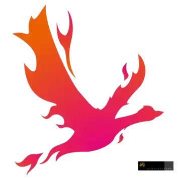 抖燃视频处理工具