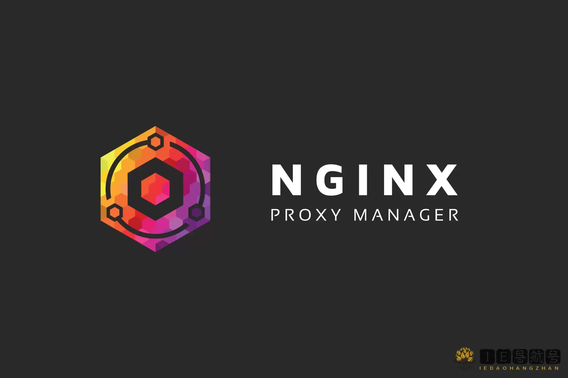 Nginx Proxy Manager