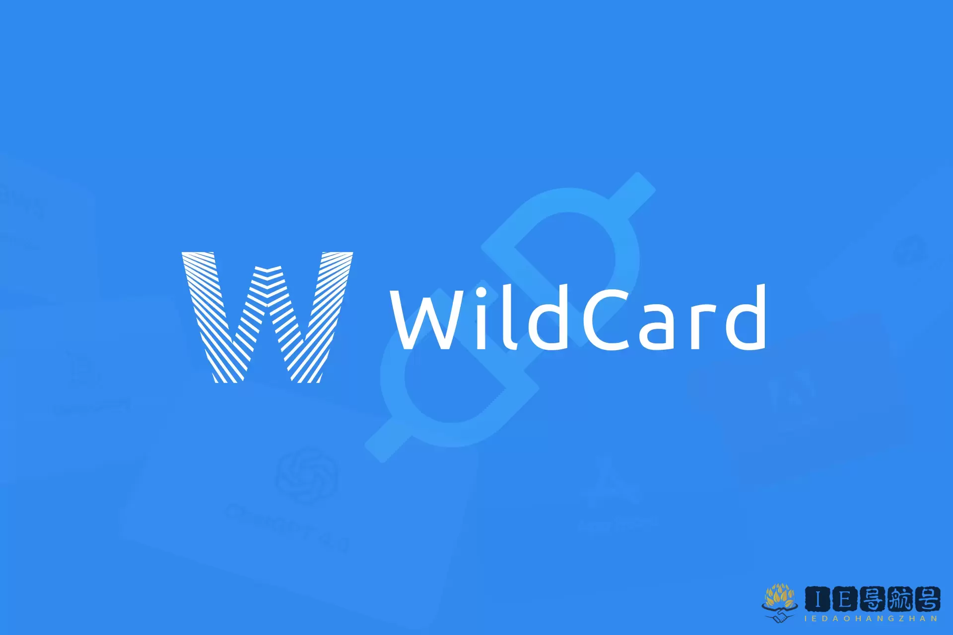 WildCard API