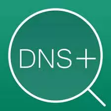 DNS传播检查