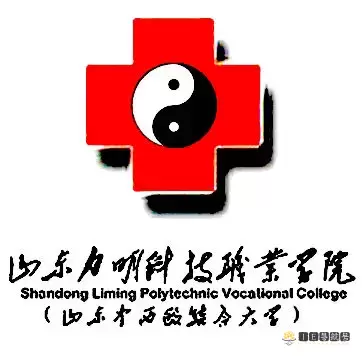 山东力明科技职业学院