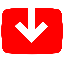 YouTube 视频下载器