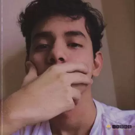 油画风格渲染器(镜像站)