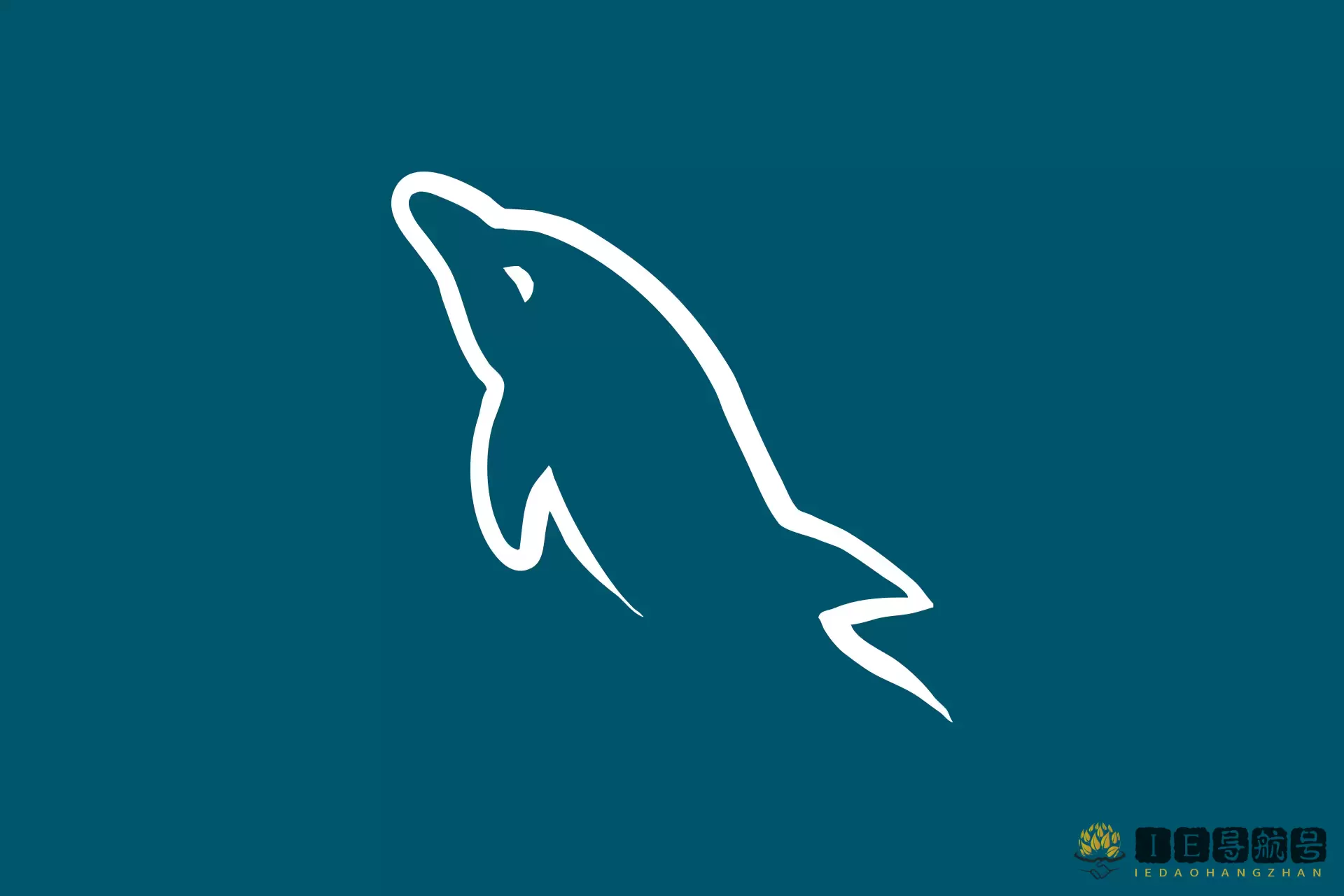 MySQL Workbench 数据库管理工具
