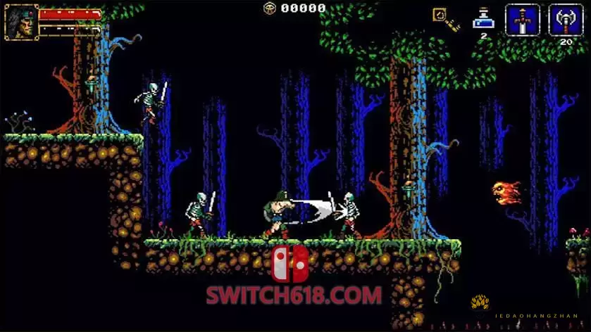 贝荷嘉|本体+2.0.7补丁|中文|NSZ|Beholgar