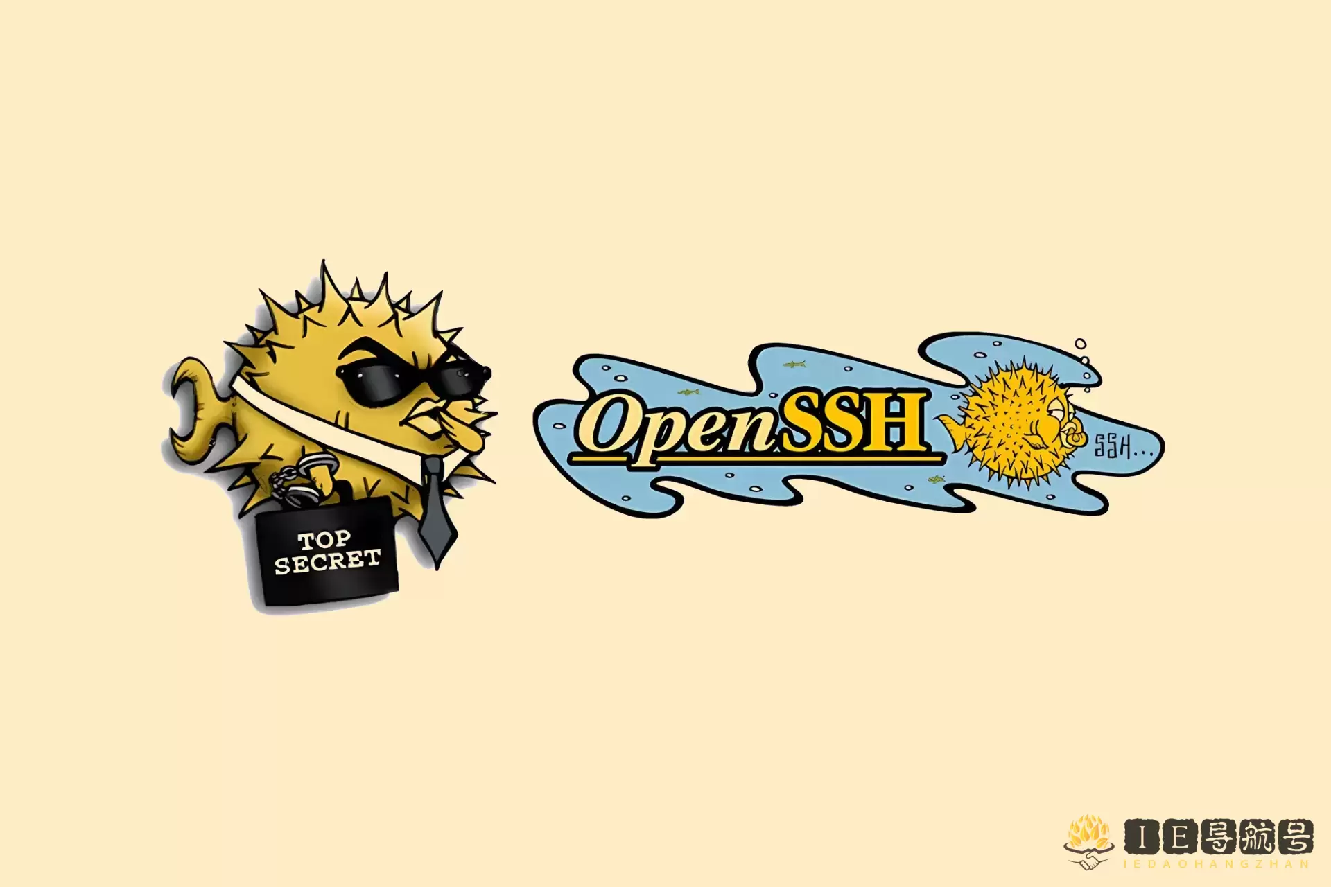 OpenSSH SSH 协议
