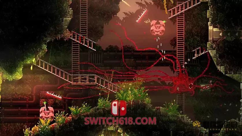 红怪|官方中文|本体+1.0.8升补|魔改9.2|NSZ|Carrion