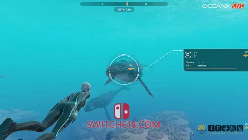 超越蔚蓝|官方中文|NSP|原版|Beyond Blue