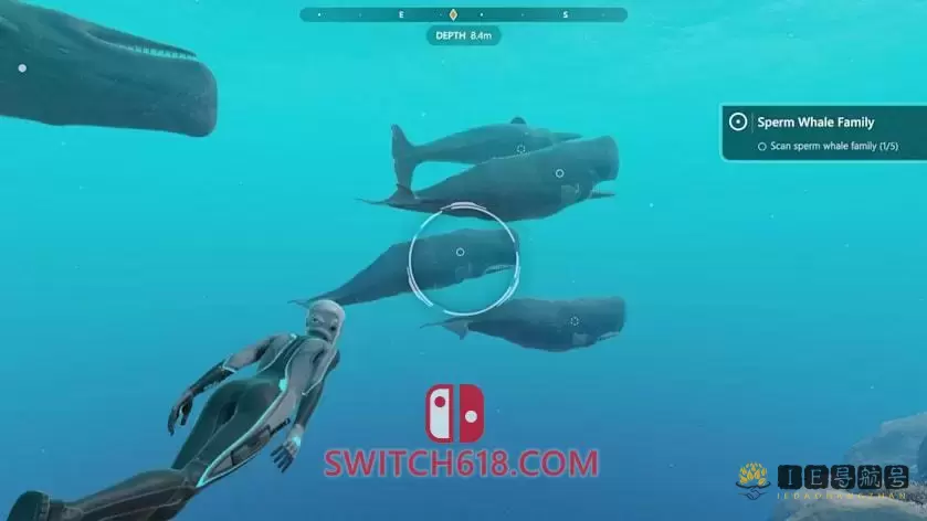 超越蔚蓝|官方中文|NSP|原版|Beyond Blue