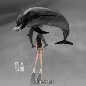 戚佳丽
