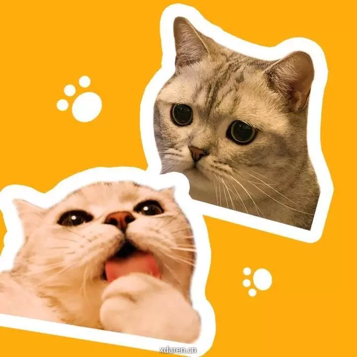 麻蛋和丑丑