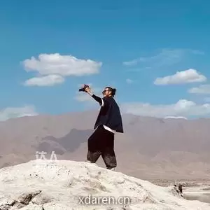 大龙来了
