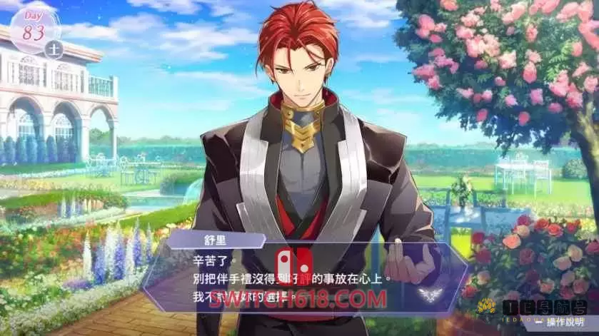 安琪莉可|本体+1.0.1补丁+18DLC|中文|NSP|Luminarise Angelique Luminarise