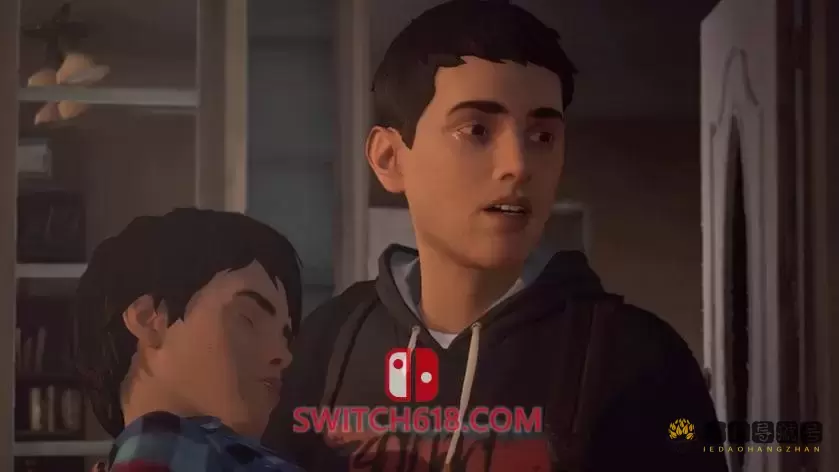 奇异人生2|官方中文|本体+1.1.0升补|NSZ|原版|Life is Strange 2