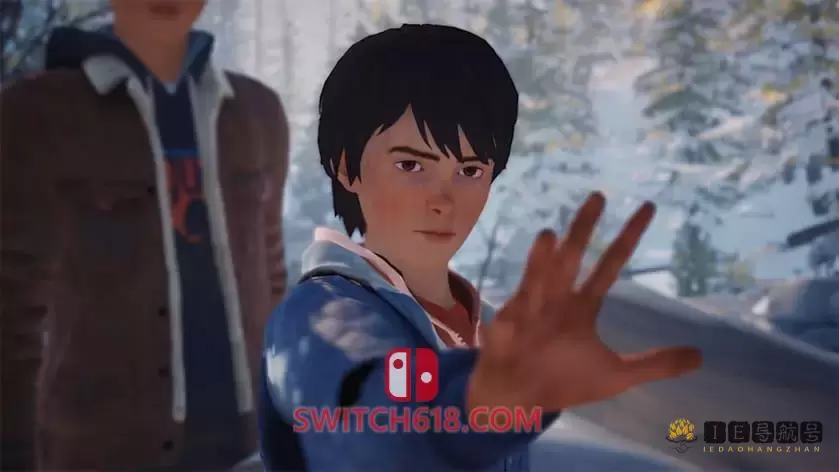 奇异人生2|官方中文|本体+1.1.0升补|NSZ|原版|Life is Strange 2