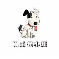 娱乐怪小汪