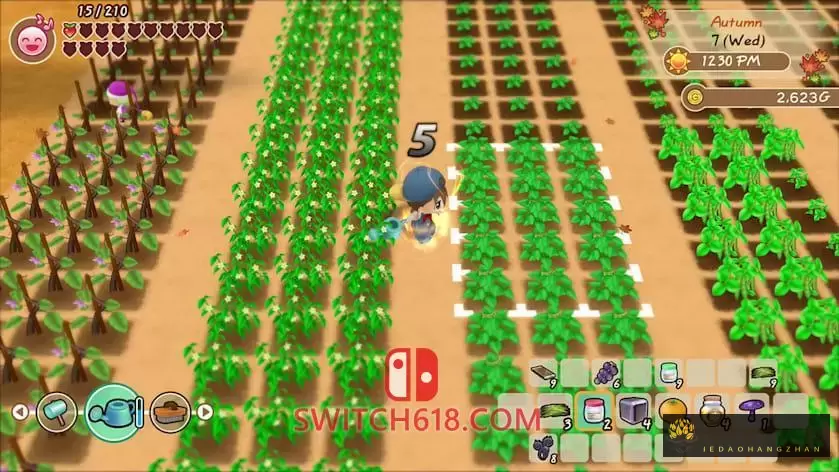 牧场物语：重聚矿石镇|中文|本体+1.1.6+5DLC整合版|NSP-XCI|原版+魔改9.2.0|STORY OF SEASONS: Friends of Mineral Town