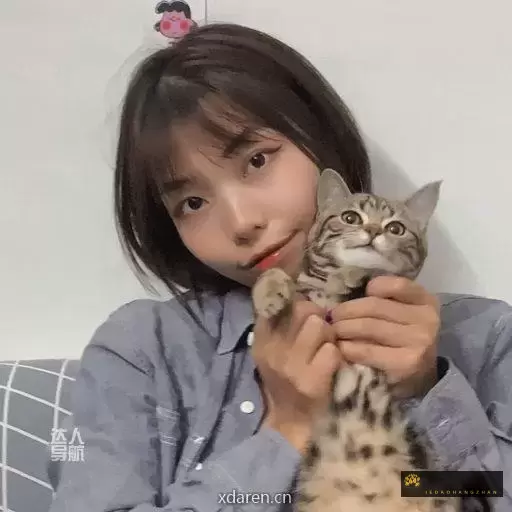 发财是只喵