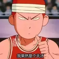 行走的大大大羊腿