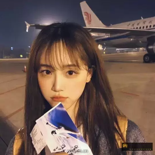 菜盟主