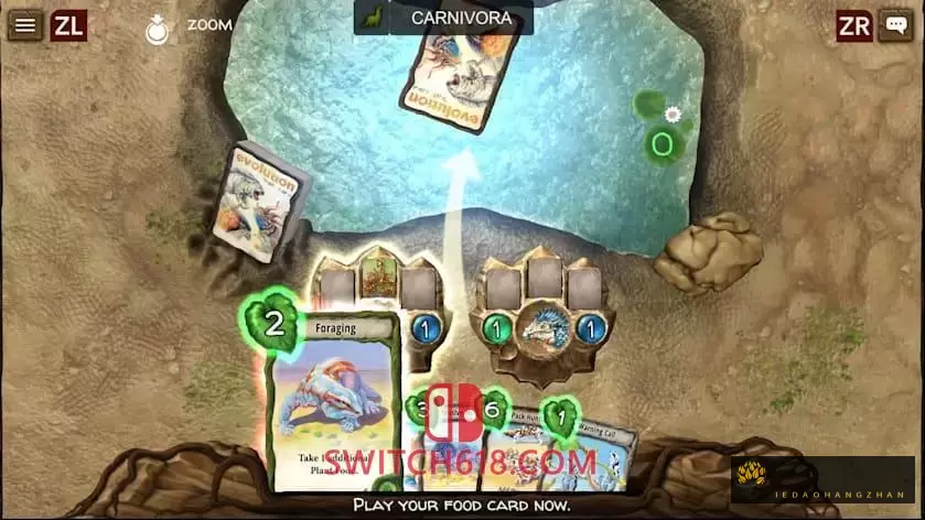 物种演化|英文版|XCI|Evolution Board