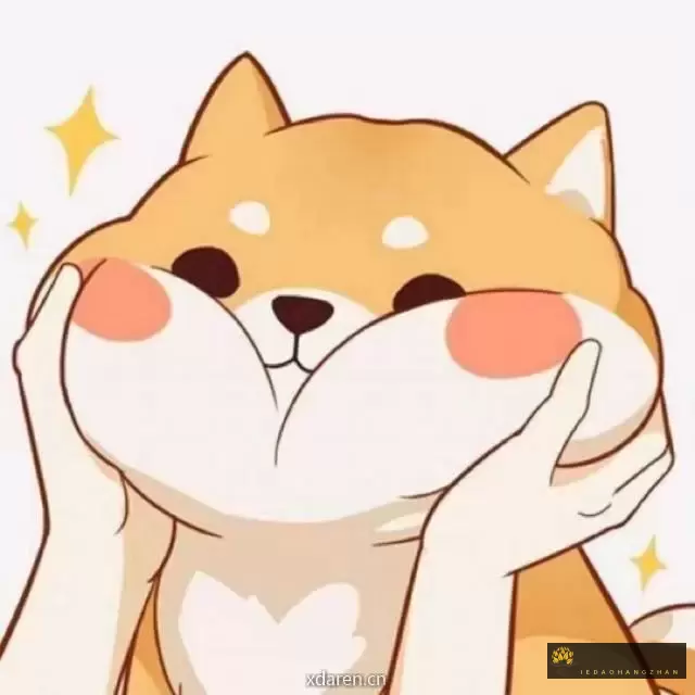 每天向上看