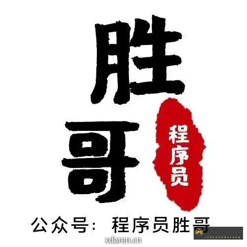 程序员胜哥