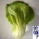 之之之家