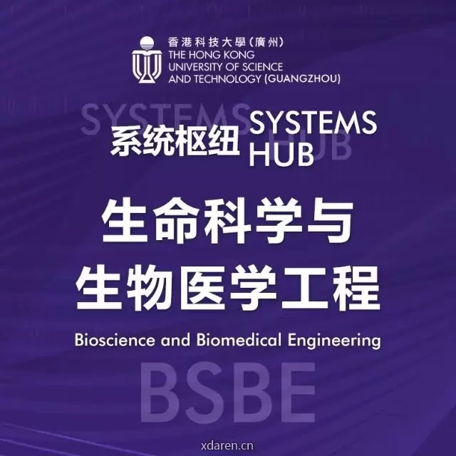 港科大广州丨生命科学与生医工程