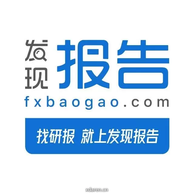 发现报告