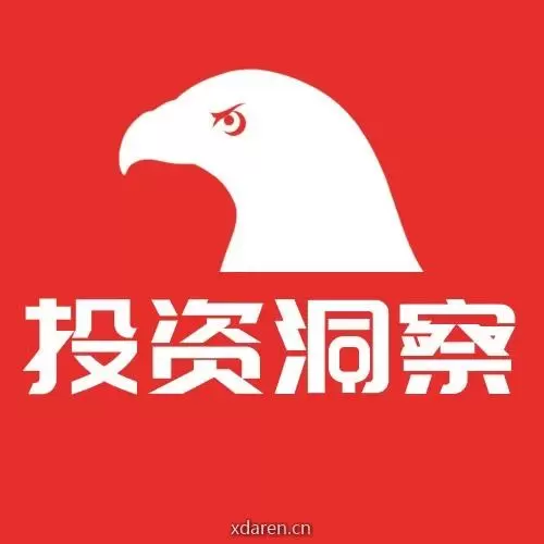投资洞察