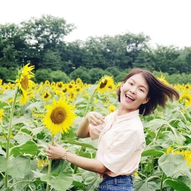 葵葵的影子