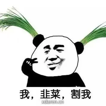 投资韭菜狗哥