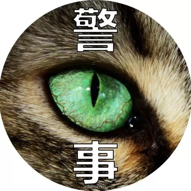 猫哥说警事