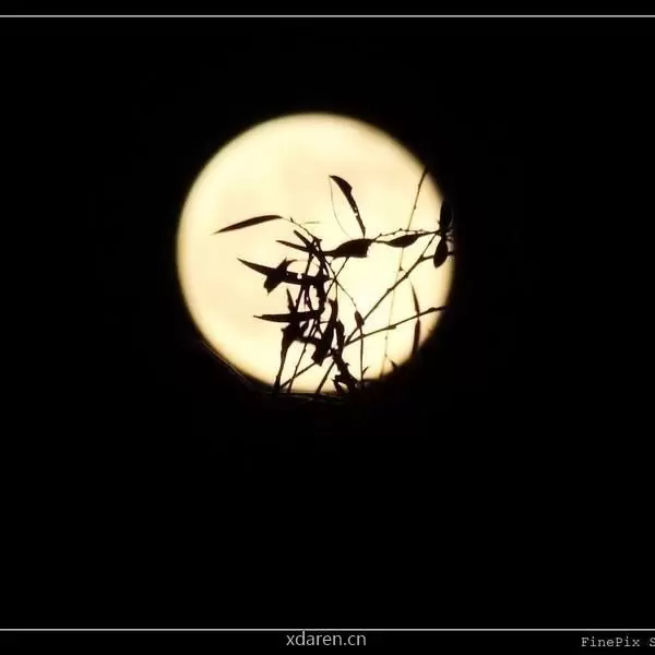 夜喃者