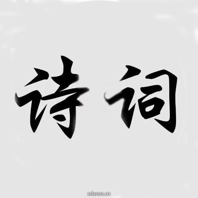 每日读诗词