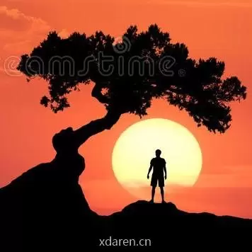制药人职场加油站