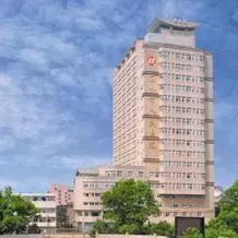 丽医营养科