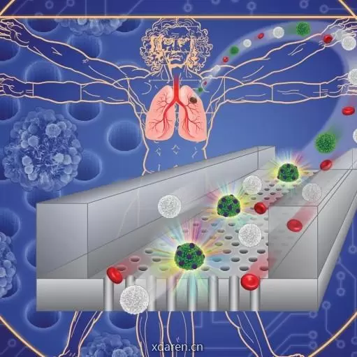 POCT分子诊断