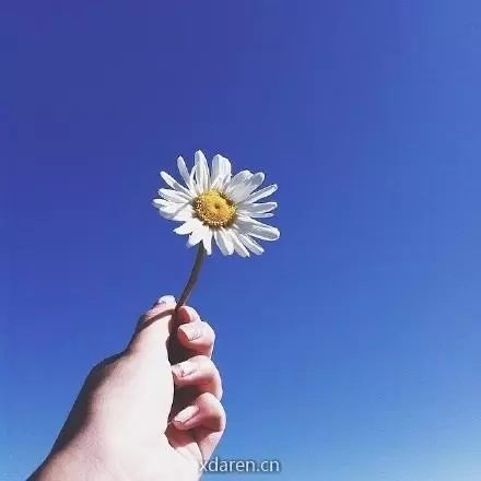 微场景音乐美文